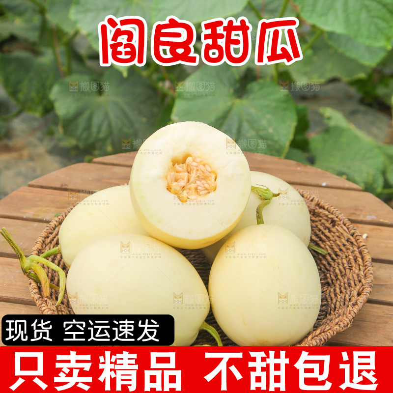 一篮阎良甜瓜