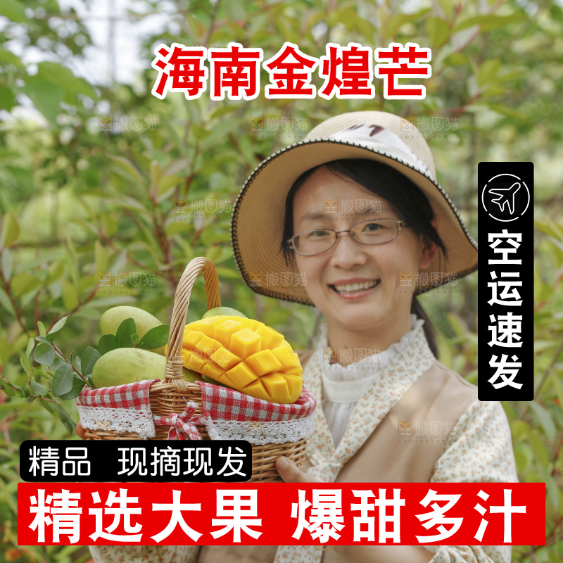 手里端着金煌芒果