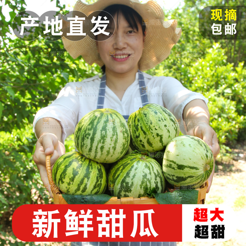 手里端着一篮花蕾甜瓜