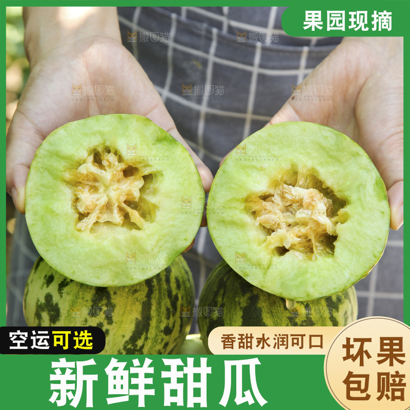 手里拿着花蕾香瓜