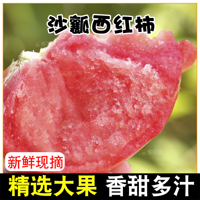 手里拿着沙瓤西红柿