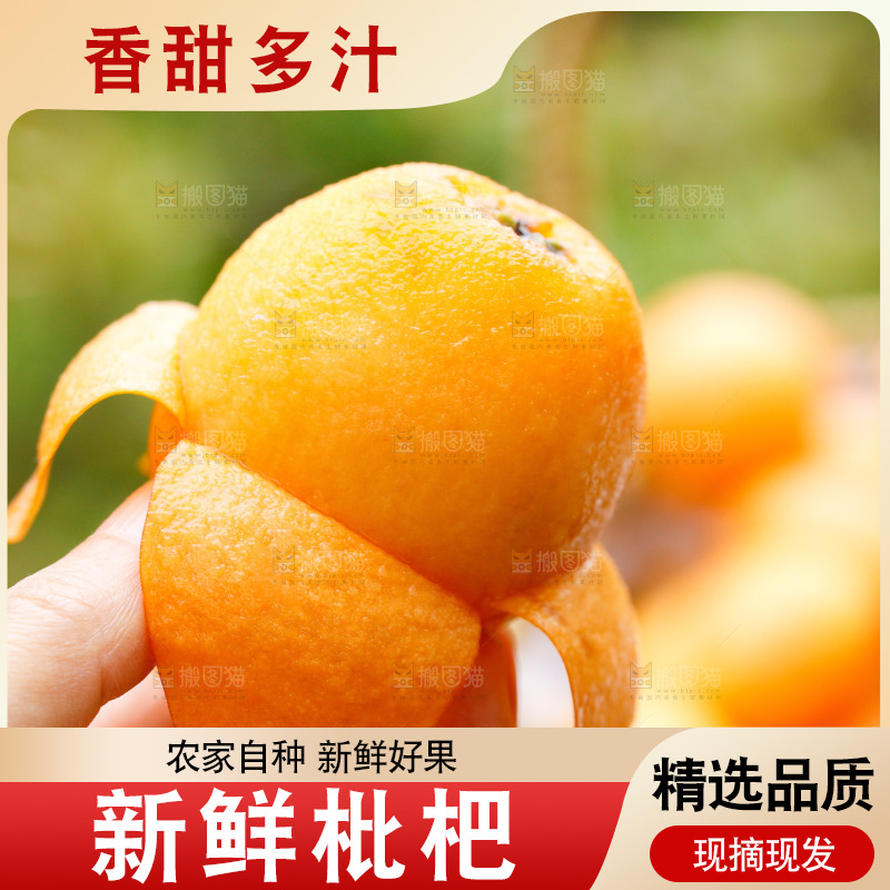 手里拿着大枇杷