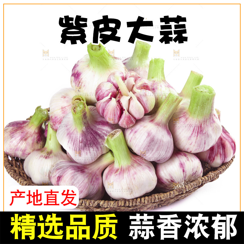 白底上放着一篮新鲜大蒜