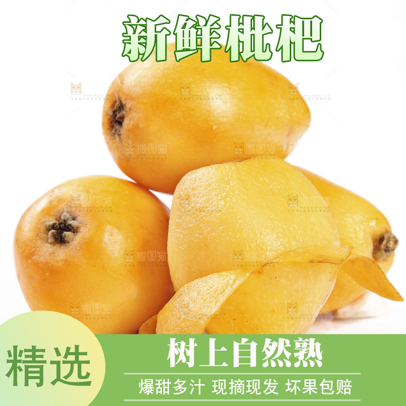 一堆新鲜大枇杷