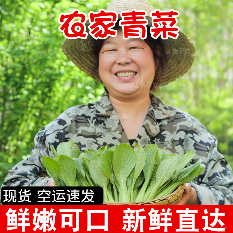 手里端着一篮青菜