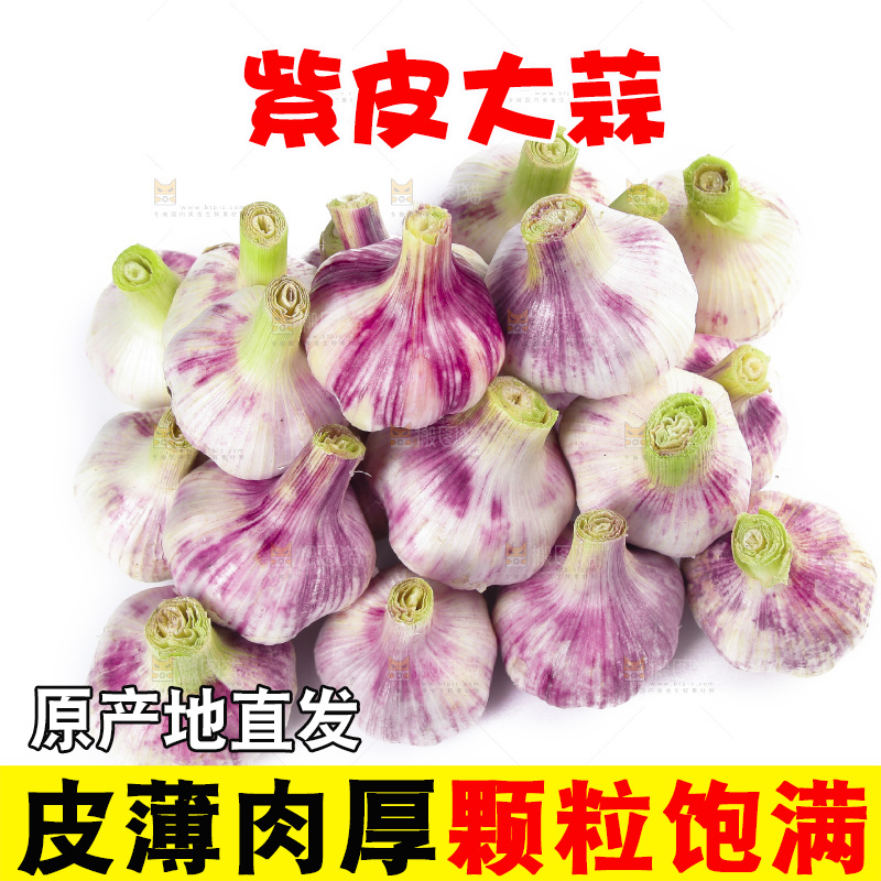 一堆新鲜紫皮大蒜