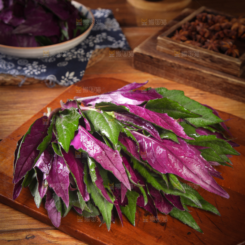 木底上放着紫背天葵