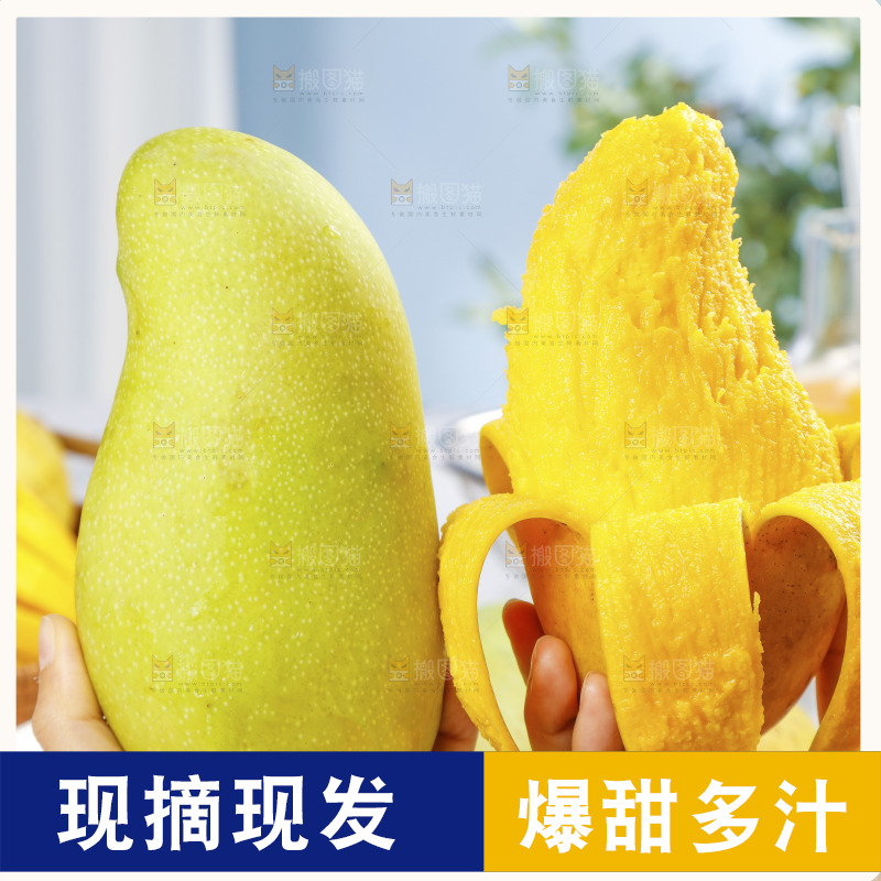 手里拿着水仙芒