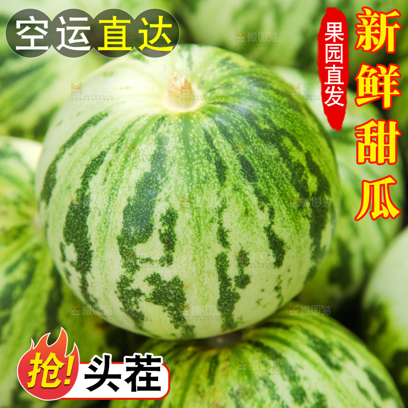 一堆新鲜花蕾香瓜