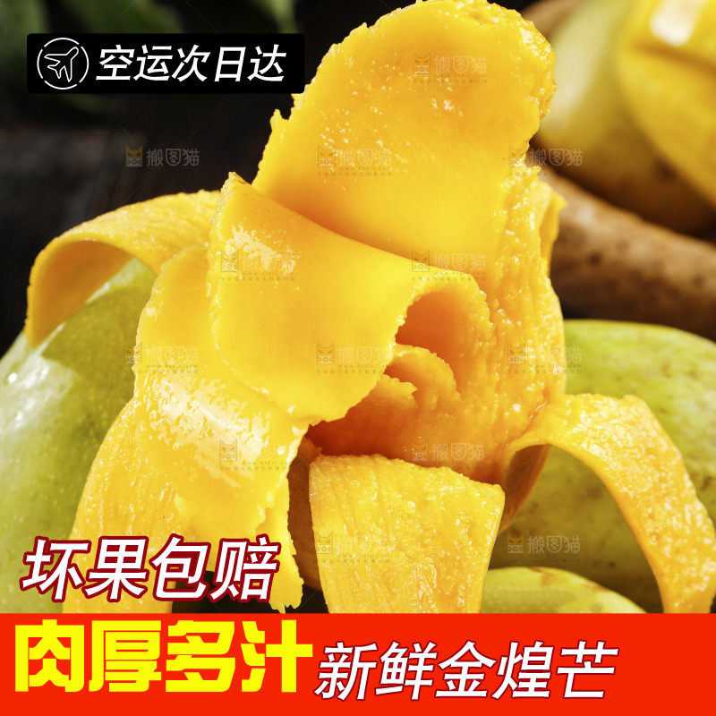 新鲜的水仙芒