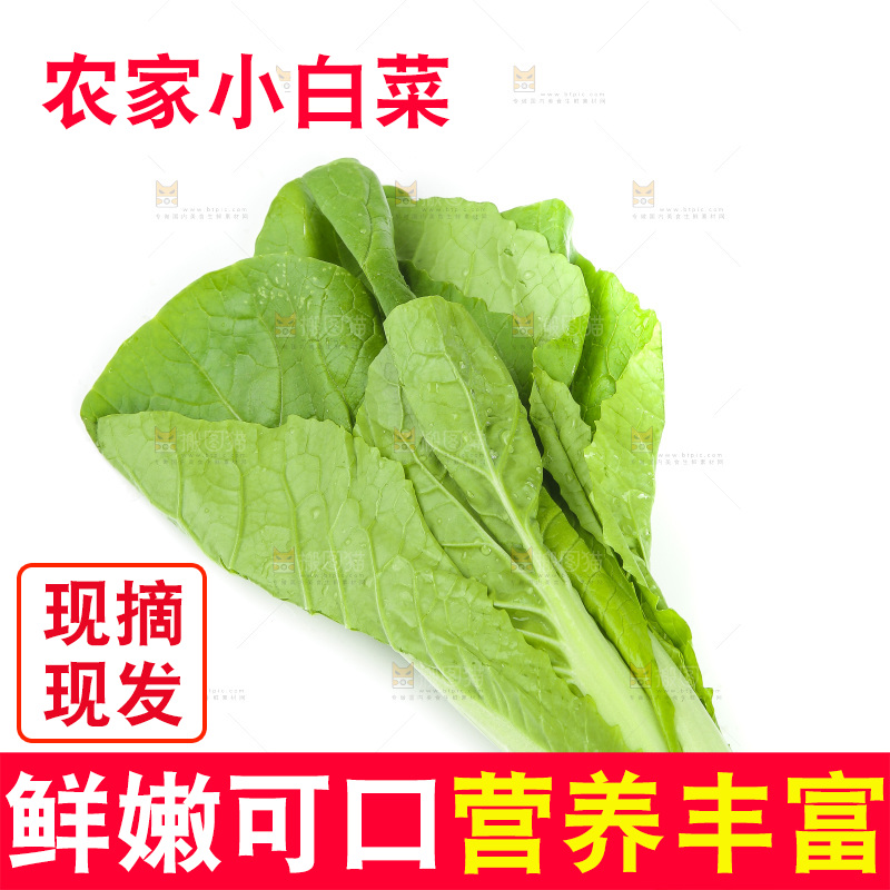 白底上放着小白菜