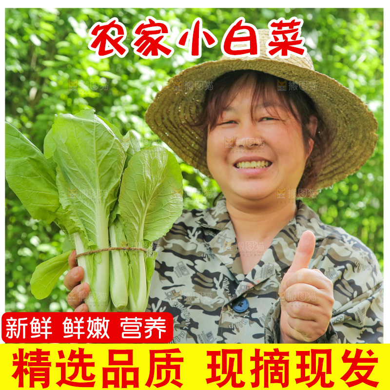 手里拿着小白菜