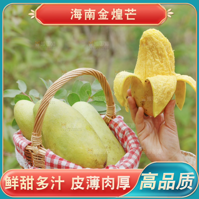 一篮金煌芒