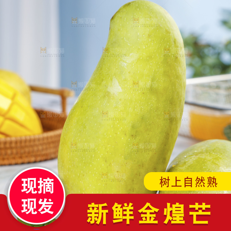 大理石板上摆放着金煌芒