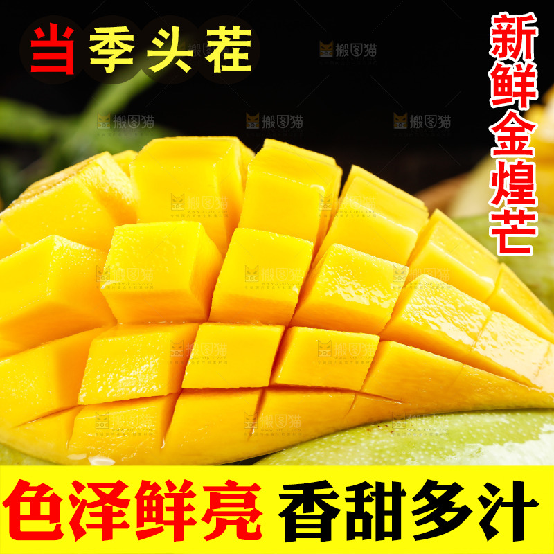 新鲜的水仙芒