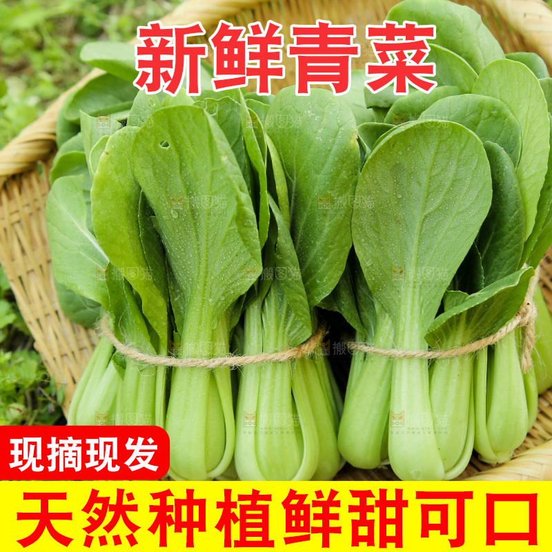 一篮新鲜小青菜