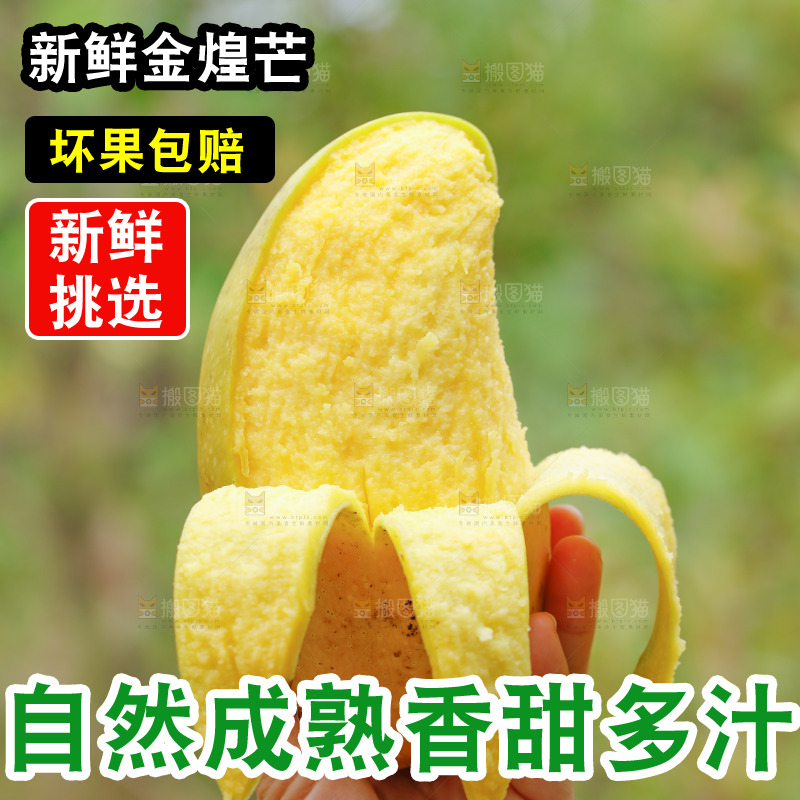 手里拿着水仙芒