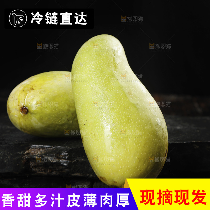 黑底上放着海南金煌芒