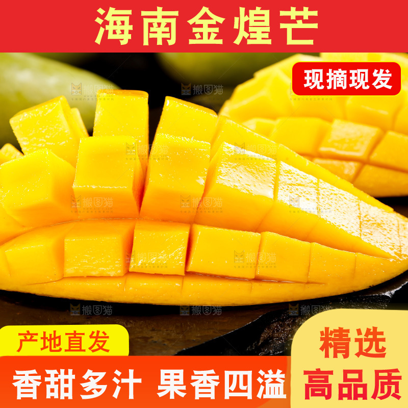 黑底上的金煌芒