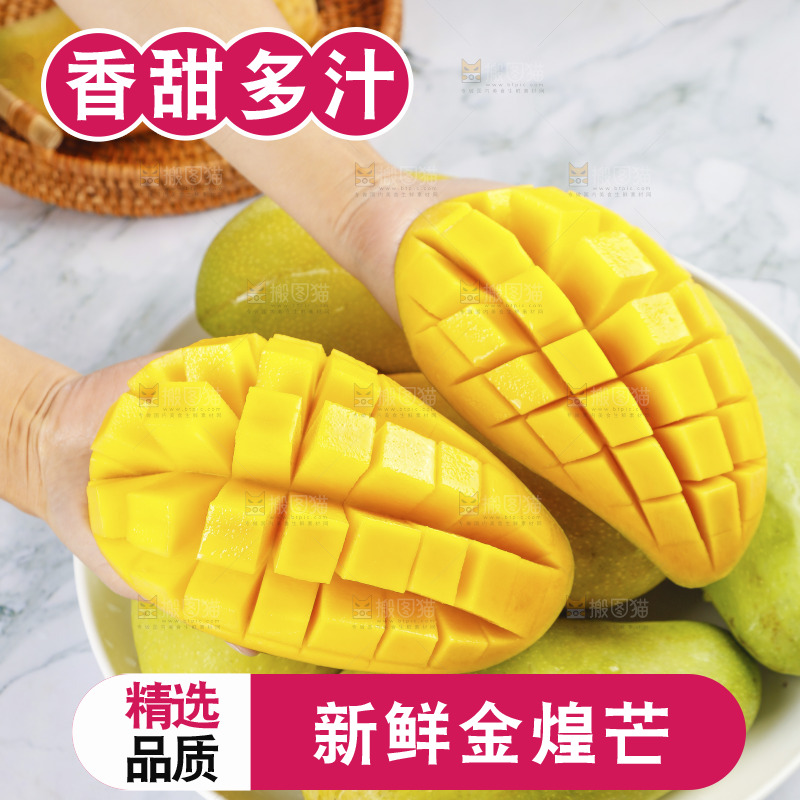 手里拿着金煌芒果