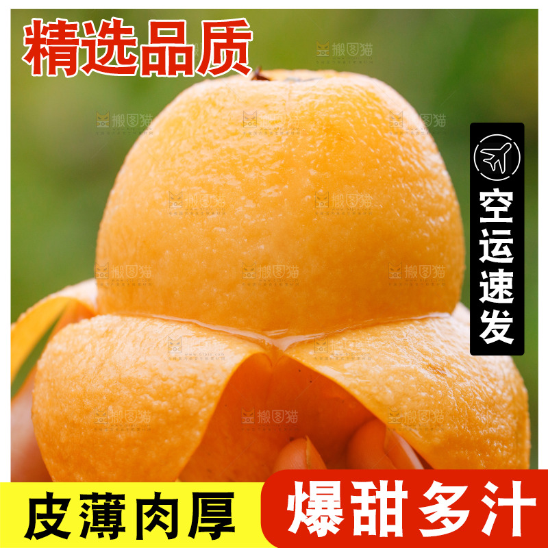 手里拿着大枇杷