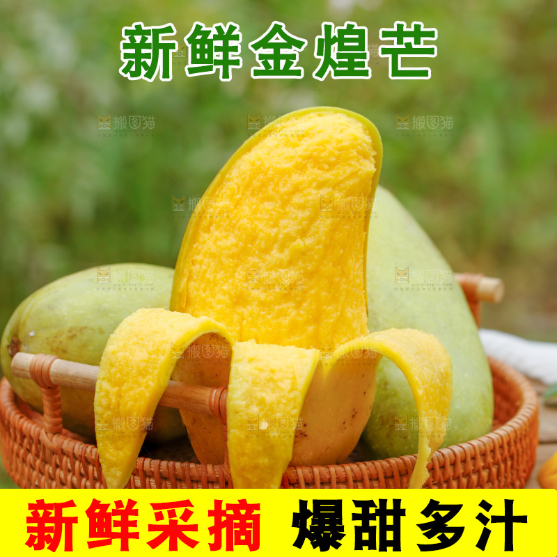 一篮金煌芒