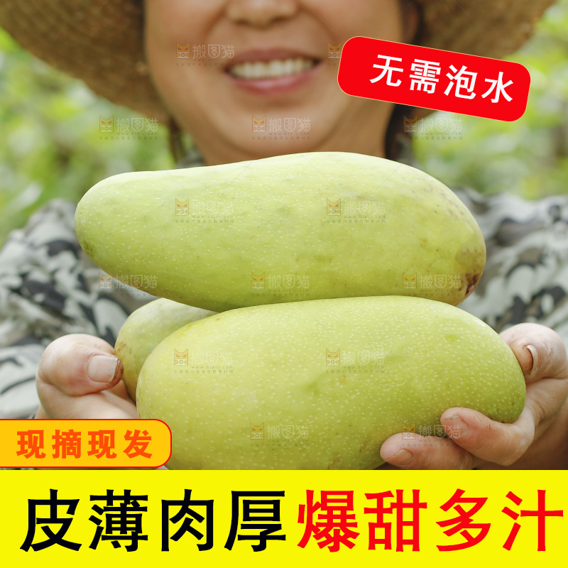 手里拿着金煌芒果