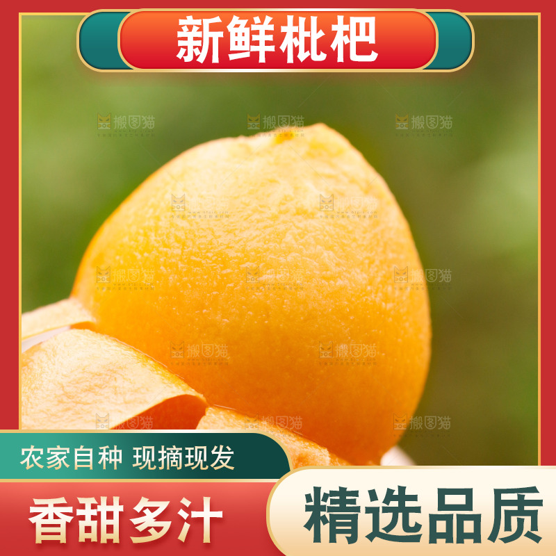 手里拿着枇杷