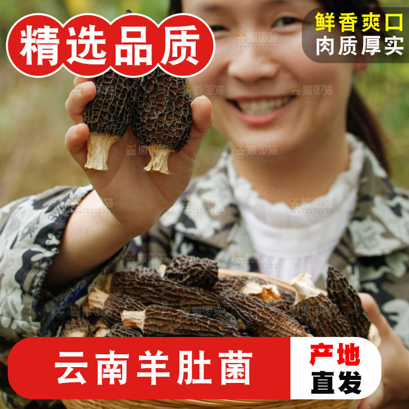 手里端着一篮干羊肚菌