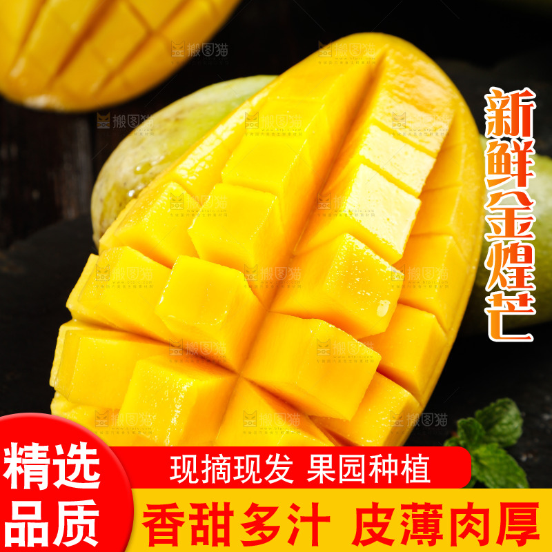 黑底上的金煌芒