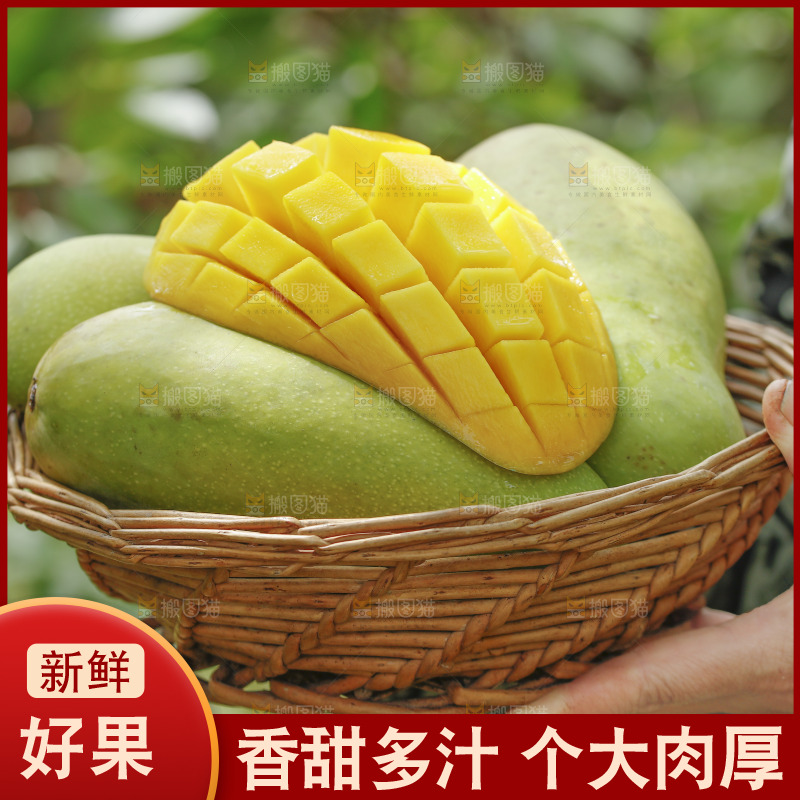 手里端着一篮金煌芒
