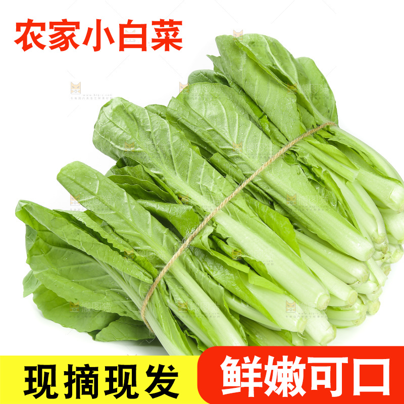 白底上放着一捆新鲜小白菜