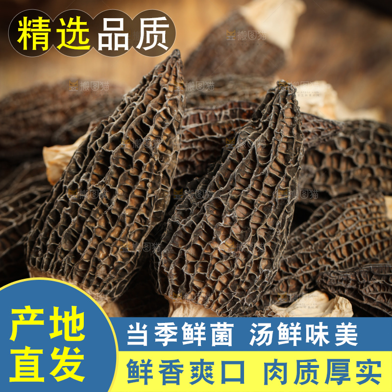 一堆干羊肚菌