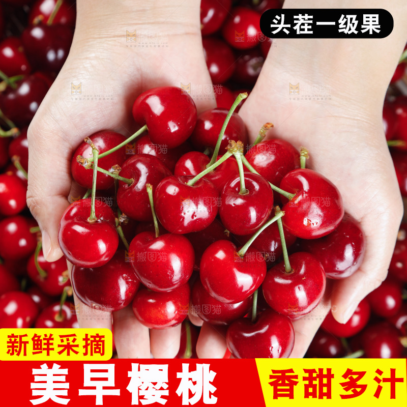 大樱桃纹理