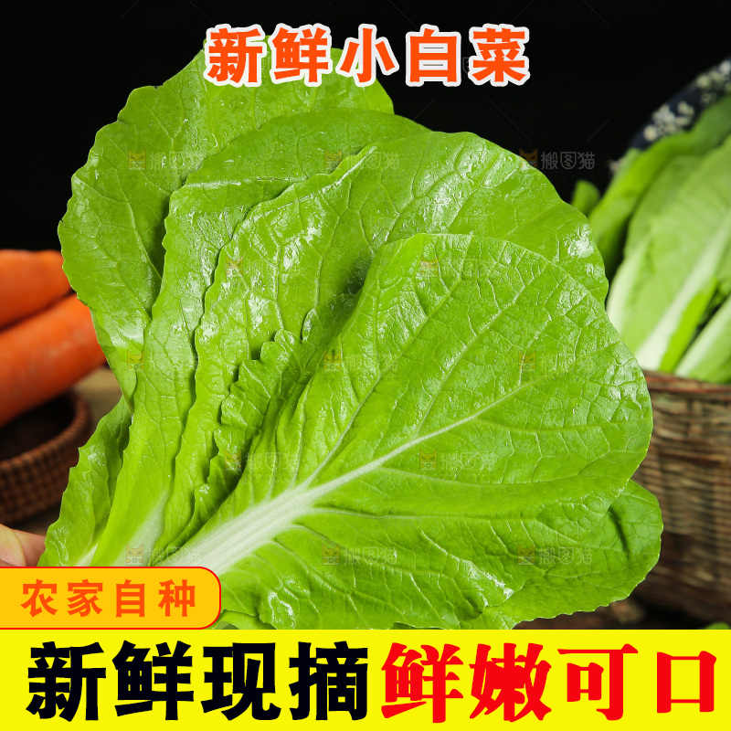 手里拿着小白菜
