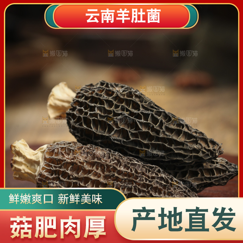 木底上的羊肚菇