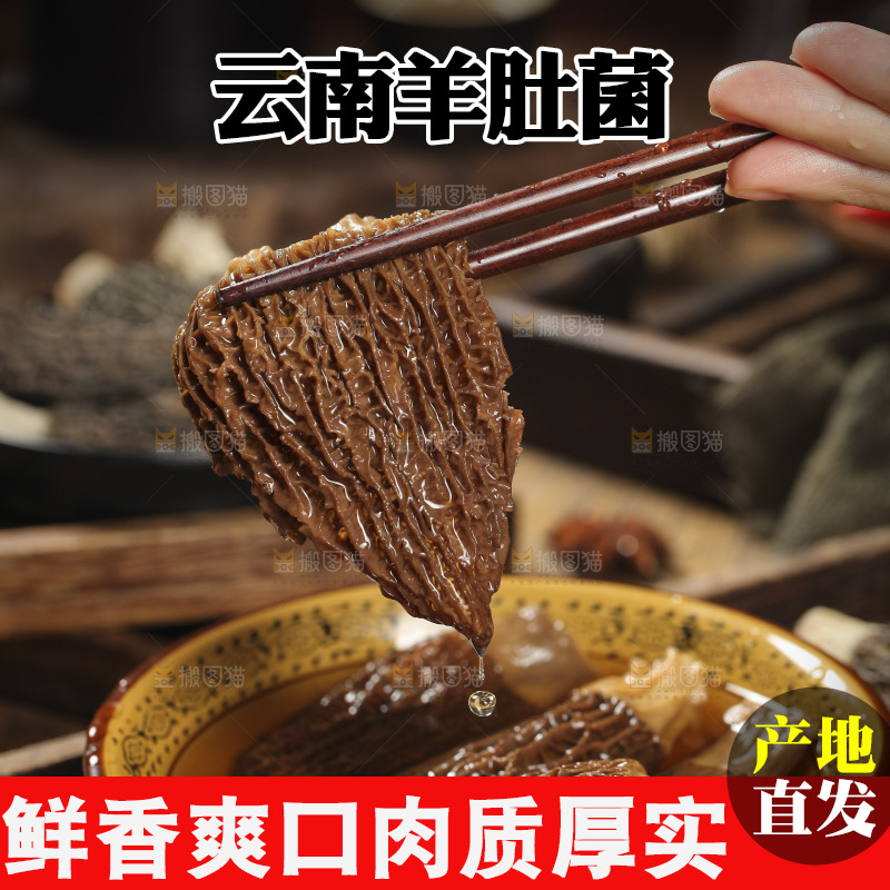 筷子上夹着羊肚菇