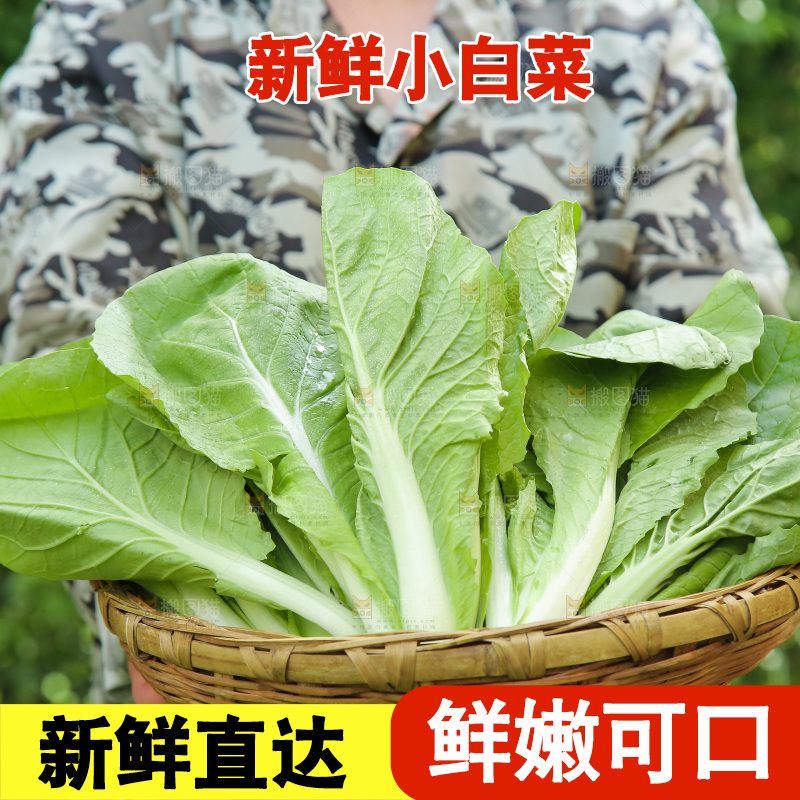 手里端着一篮小白菜