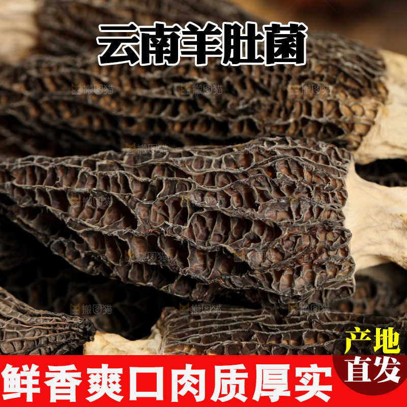 羊肚菌纹理
