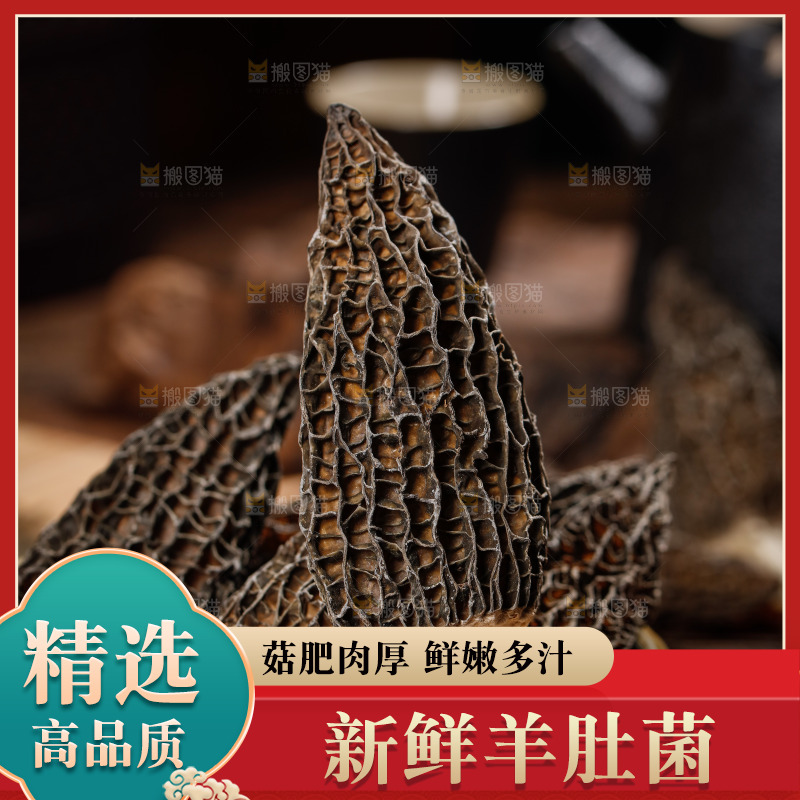 一盘云南羊肚菌