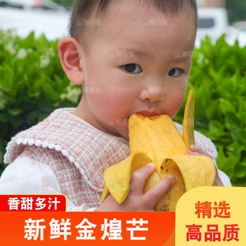 儿童吃着芒果