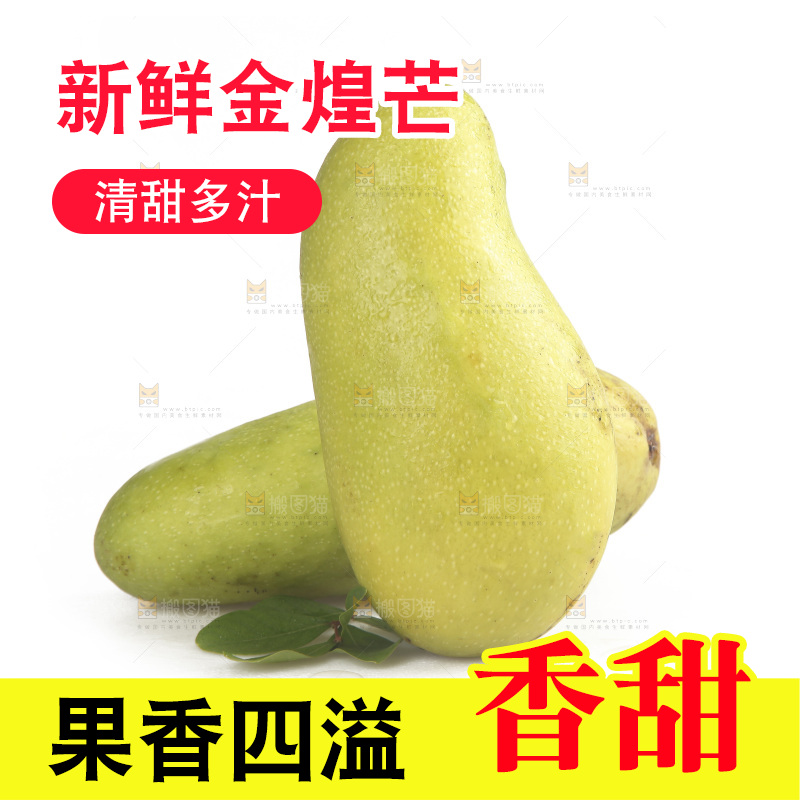 白底上放着金煌芒