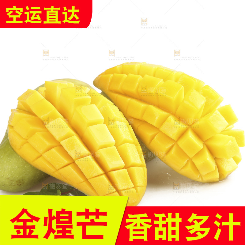 白底上放着金煌芒