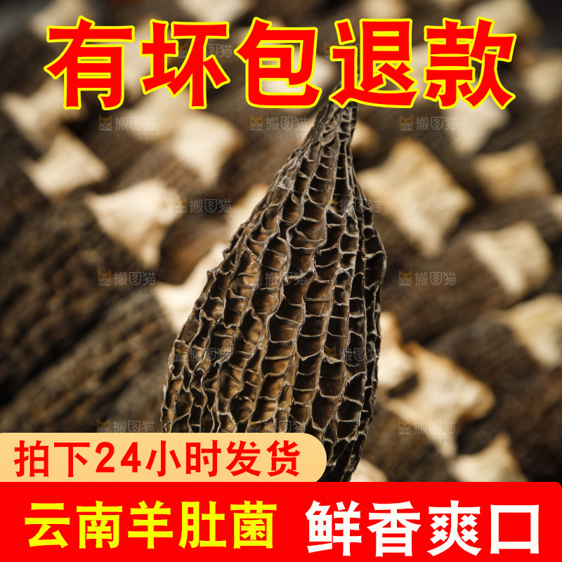 手里拿着羊肚菇
