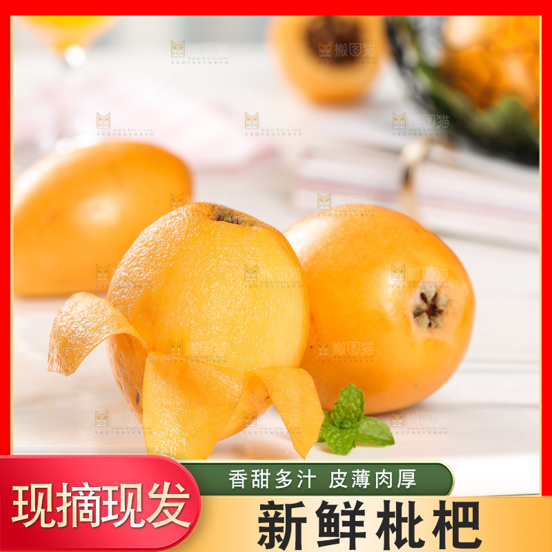 白底上的枇杷