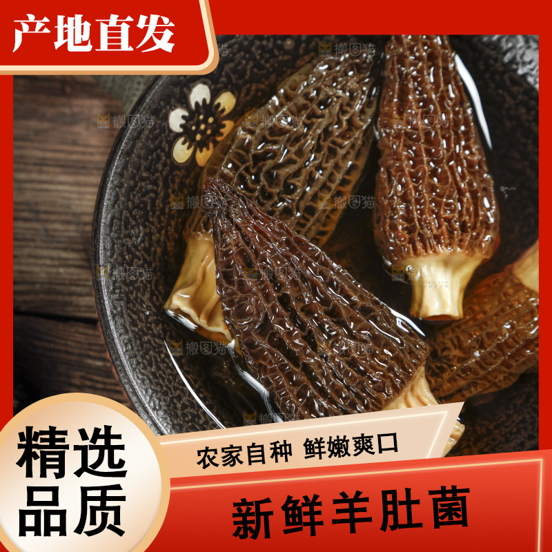 碗里泡着羊肚菌