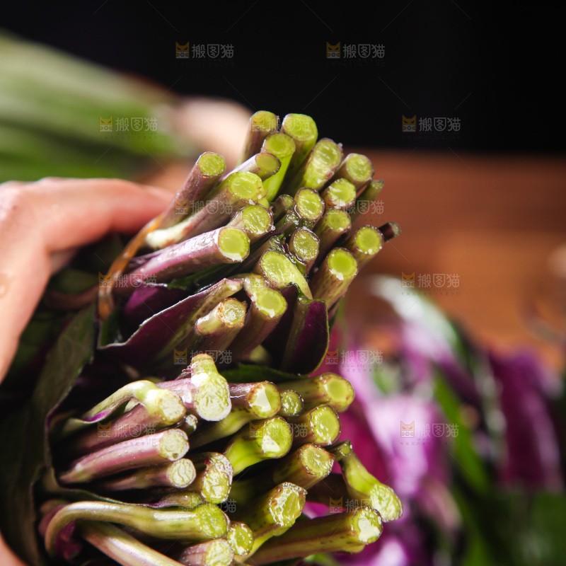 手里拿着紫背菜