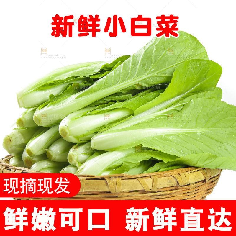白底上放着一篮新鲜小白菜