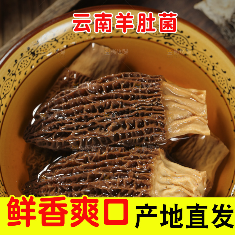 碗里泡着羊肚菌