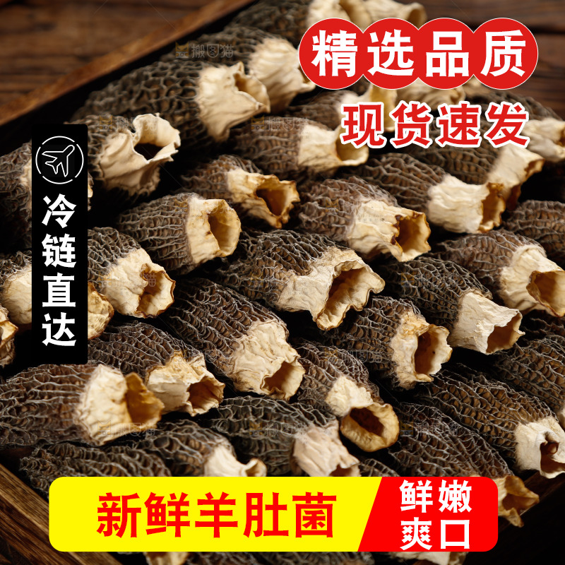 一盘山珍羊肚菌